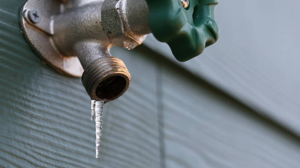 Best Plumbing Inspection Services  in Geneva, NY